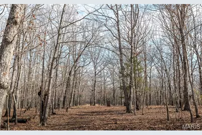 21500 County Road 7670, Newburg, MO 65550 - Photo 46