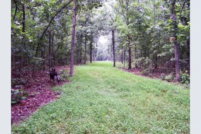 21500 County Road 7670, Newburg, MO 65550 - Photo 48