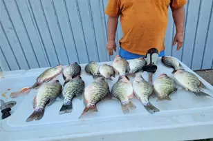 18904 Monroe Road 581, Perry, MO 63462 - Photo 6