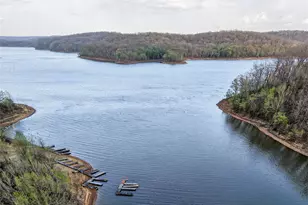 46 Dora Dr, Greendale, MO 63944 - Photo 82