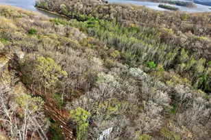 46 Dora Dr, Greendale, MO 63944 - Photo 62