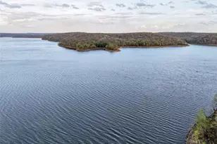 46 Dora Dr, Greendale, MO 63944 - Photo 86