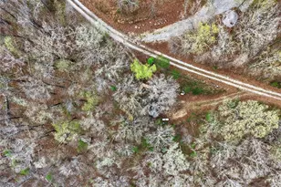 46 Dora Dr, Greendale, MO 63944 - Photo 78