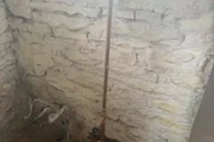 125 E Etta Ave, Saint Louis, MO 63125 - Photo 4