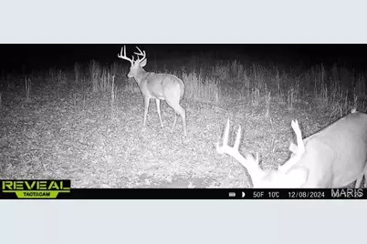 10980 Cedar Hollow Road, Fletcher, MO 63030 - Photo 20