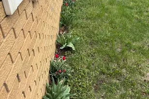 106 W Elm Ct, Shelbina, MO 63468 - Photo 4