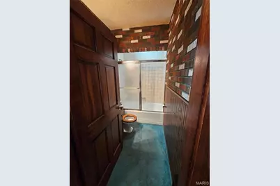 3719 Orient Avenue, Saint Louis, MO 63125 - Photo 18