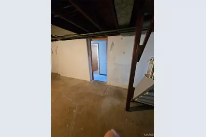 3719 Orient Avenue, Saint Louis, MO 63125 - Photo 32