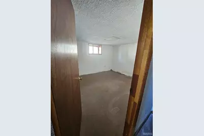 3719 Orient Avenue, Saint Louis, MO 63125 - Photo 34