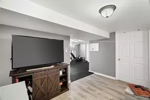 3436 Tedmar Ave, Saint Louis, MO 63139 - Photo 30