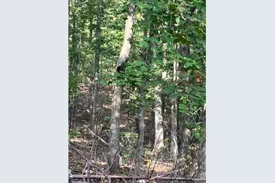 118 Madison Cr 410, Fredericktown, MO 63645 - Photo 2