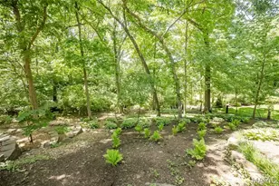 14603 Big Timber Ln, Chesterfield, MO 63017 - Photo 6
