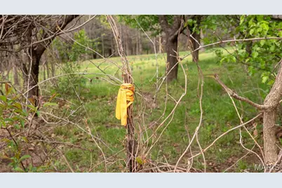 0 Summer Hill Lane, Washington, MO 63090 - Photo 34