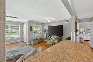 1439 Lanvale Dr, Webster Groves, MO 63119 - Photo 12