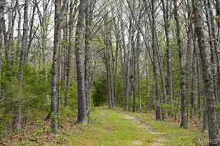 7817 Hwy H, Gerald, MO 63037 - Photo 40