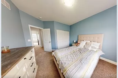 2705 Niagara Falls Court, Festus, MO 63028 - Photo 12