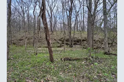 29055 Pike 338, Middletown, MO 63359 - Photo 32