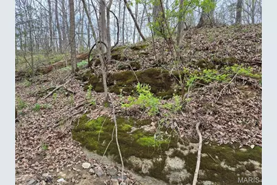 29055 Pike 338, Middletown, MO 63359 - Photo 30