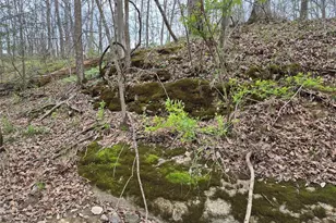 29055 Pike 338, Middletown, MO 63359 - Photo 30