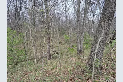 29055 Pike 338, Middletown, MO 63359 - Photo 40