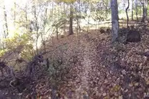 3016 Autumn Shores Dr, Maryland Heights, MO 63043 - Photo 44