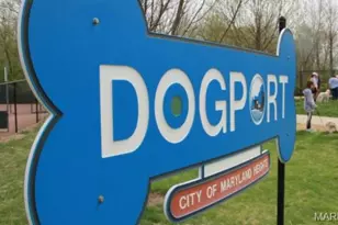 3016 Autumn Shores Dr, Maryland Heights, MO 63043 - Photo 40