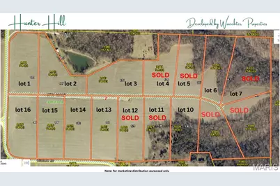 136 Otto Court, Silex, MO 63377 - Photo 10