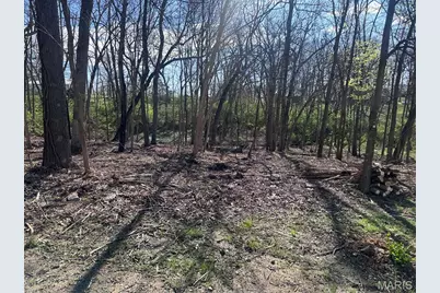 50 Brooks Lane, Winfield, MO 63389 - Photo 4