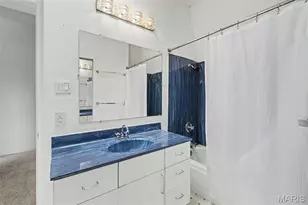 923 Withnell Ave, Saint Louis, MO 63118 - Photo 18