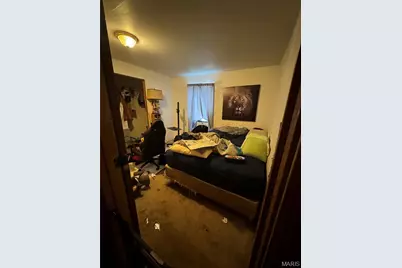 4386 Jarvis Road, Hillsboro, MO 63050 - Photo 6