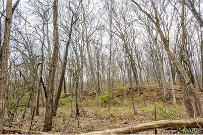 161 Taylor School Road, Winfield, MO 63389 - Photo 52