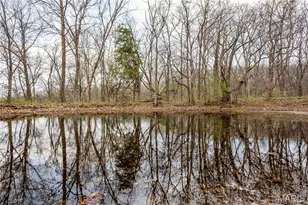 161 Taylor School Rd, Winfield, MO 63389 - Photo 58