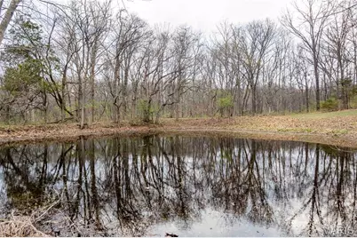 161 Taylor School Road, Winfield, MO 63389 - Photo 62