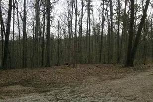 0000 W State Hwy 8, Potosi, MO 63664 - Photo 1