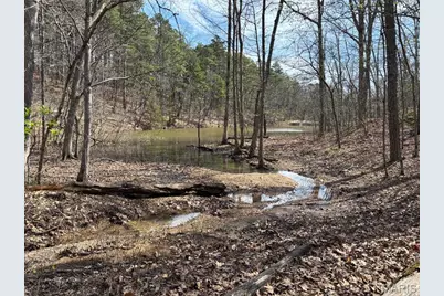 000 W State Highway 8, Potosi, MO 63664 - Photo 8