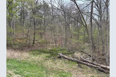 000 W State Highway 8, Potosi, MO 63664 - Photo 12