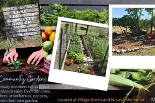 1784 S Lake Sherwood Dr, Marthasville, MO 63357 - Photo 16