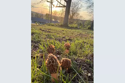 2609 Nike Base Road, Catawissa, MO 63015 - Photo 36