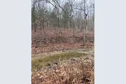 10131 State Road Bb, Hillsboro, MO 63050 - Photo 1