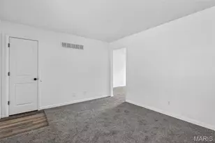 816 Ruth Ave, Festus, MO 63028 - Photo 4