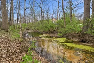 6400 Mill View Dr, Byrnes Mill, MO 63051 - Photo 46