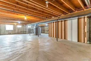 112 Trailing Oak Ct, Imperial, MO 63052 - Photo 60