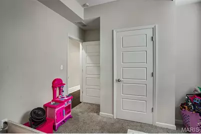 3857 Virginia Avenue, Saint Louis, MO 63118 - Photo 28