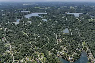 518 Rue Lamande, Bonne Terre, MO 63628 - Photo 30