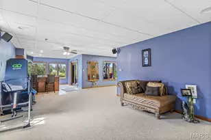 220 Buzzard Rock Rd, Farmington, MO 63640 - Photo 68