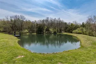 220 Buzzard Rock Rd, Farmington, MO 63640 - Photo 86