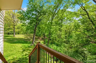 16112 Ridgewoods Mnr Cir, Ellisville, MO 63038 - Photo 56