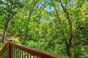 16112 Ridgewoods Mnr Cir, Ellisville, MO 63038 - Photo 60