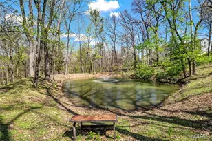 1869 Walnutway Dr, Saint Louis, MO 63146 - Photo 74