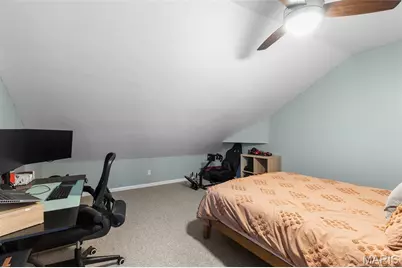 2869 Missouri Avenue, Saint Louis, MO 63118 - Photo 24